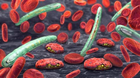  Plasmodium!  The Tiny Terror Causing Mayhem Inside Your Bloodstream